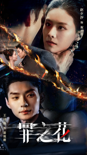 罪之花(56集) 罪之花(56集)短剧全集完整