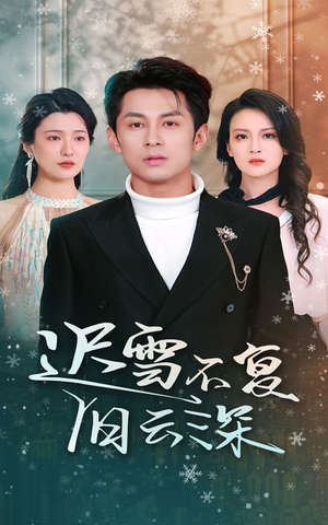 迟雪不复旧云深(45集) 迟雪不复旧云深(45集)追短剧太上头了