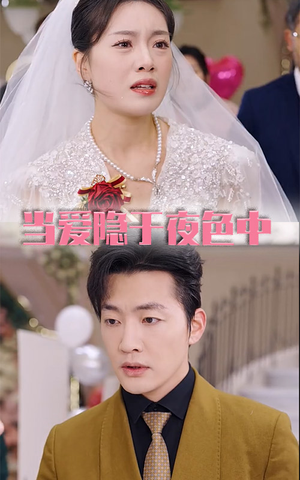 当爱隐于夜色中（37集）在哪个平台看好