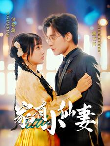 家有小仙妻(101集) 家有小仙妻(101集)在线观看完整版