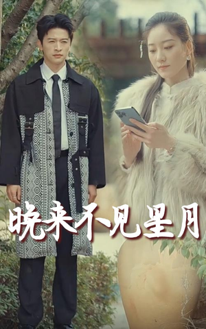 晚来不见星月(40集) 晚来不见星月(40集) 好看吗