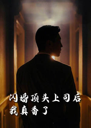 闪婚顶头上司后我真香了(80集) 闪婚顶头上司后我真香了(80集)短剧解说热门