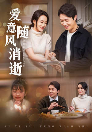 爱意随风消逝（47集） 精彩短剧天天看