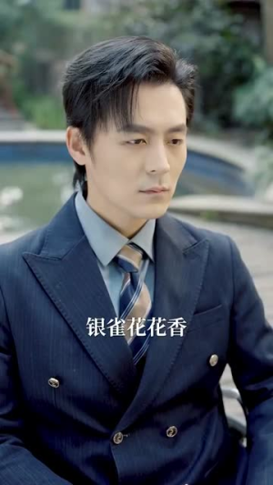 谁又惹她了（100集） 精彩好看的短剧