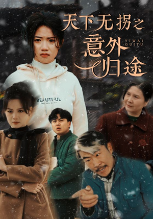 天下无拐之意外归途（61集） 夸克网盘在线看