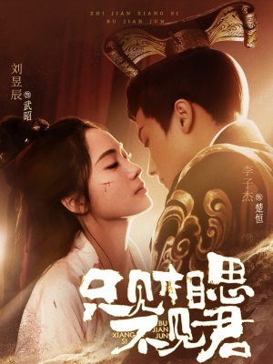 只见相思不见君(82集) 只见相思不见君(82集) 短剧前十排行榜