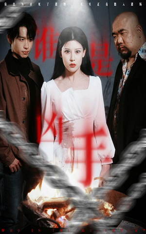 谁是凶手（31集） 最新热门短剧