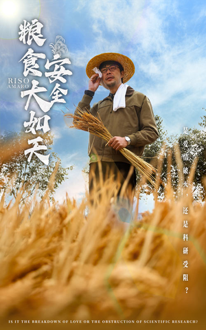 粮食安全大如天（43集） 精彩短剧推荐