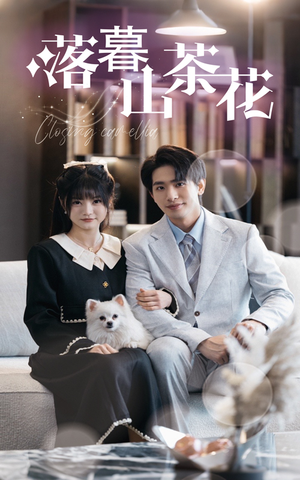 落幕山茶花（50集） 番茄短剧看全集
