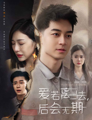 爱若离去,后会无期(70集) 爱若离去,后会无期(70集)热门短剧追不停
