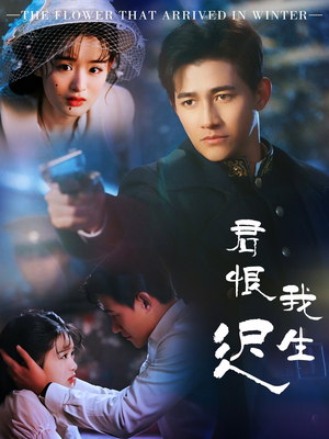 君恨我生迟(60集) 君恨我生迟(60集) 全集一网打尽