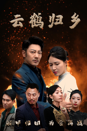 云鹤归乡（65集） 网盘在线观看