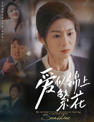 爱似锦上繁花（60集） 一起追短剧