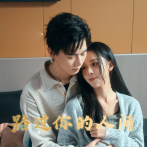 路过你的人间（31集）免费短剧看不停