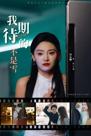 我期待的不是雪（30集）短剧追到爽