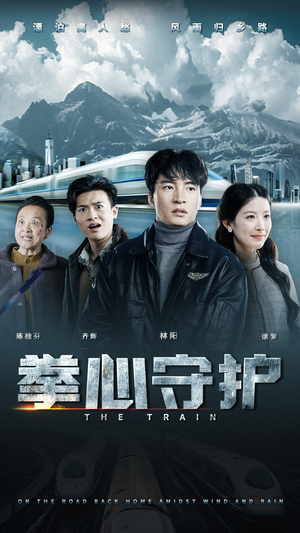 拳心守护（28集） 热播短剧免费看