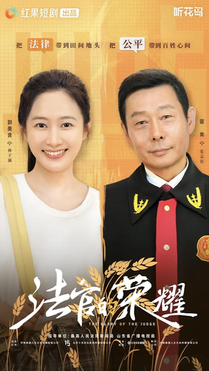 法官的荣耀（5集全）热门短剧榜单