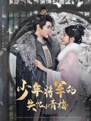 少年将军的失忆小青梅(100集) 少年将军的失忆小青梅(100集)免费看