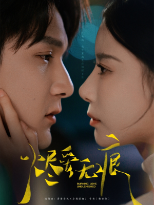 烬爱无痕(92集) 烬爱无痕(92集)在线看免费版