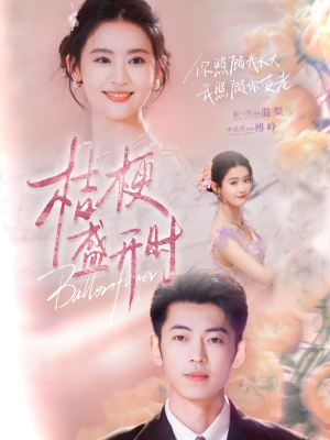 桔梗盛开时(92集) 桔梗盛开时(92集)免费短剧合集