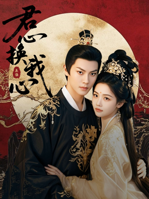 宫阙有时晴（71集）百度网盘资源