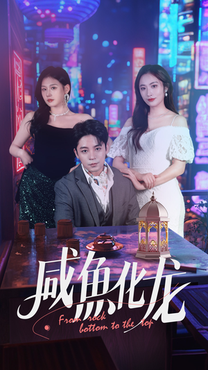 咸鱼化龙（30集） 网盘在线观看