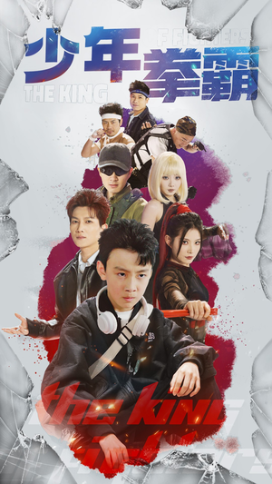 少年拳霸(60集) 少年拳霸(60集) 全集一网打尽