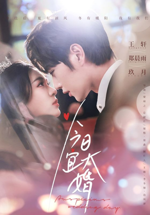 今日宜大婚(59集) 今日宜大婚(59集) 短剧解说全集