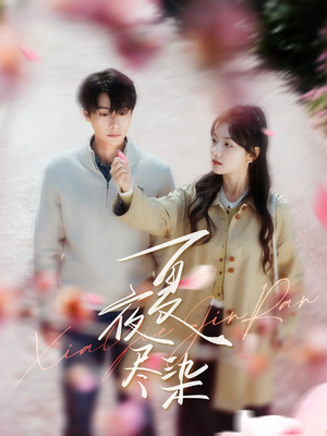 夏夜尽染（80集） 追短剧太上头了