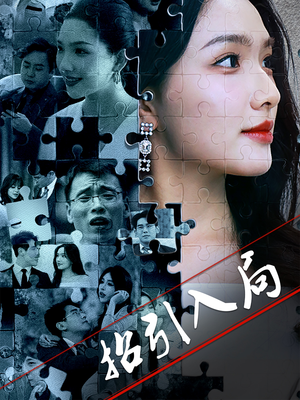 招引入局（60集） 经典老剧免费看
