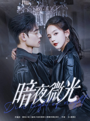 暗夜微光（86集）高质量短剧推荐