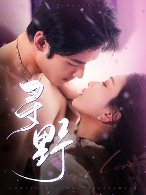 寻野（100集）短剧免费看全集