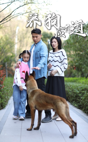 养狗应有道(60集) 养狗应有道(60集)一口气看完
