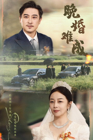 晚婚难成(60集) 晚婚难成(60集)高清无码免费看