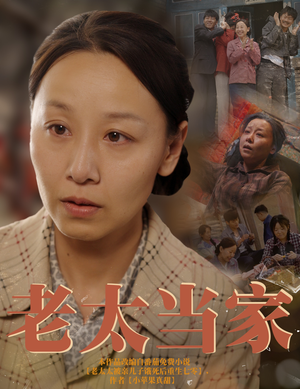 老太当家(60集) 老太当家(60集)热门短剧推广