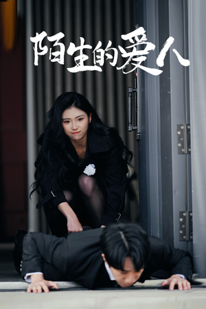 陌生的爱人（60集）免费在线看