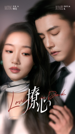 暗撩(80集) 暗撩(80集)在线观看全集