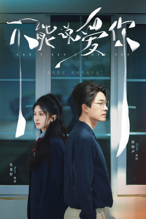 不能说爱你（64集）免费短剧推荐