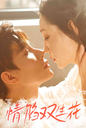 情陷双生花（30集）短剧有好货推荐