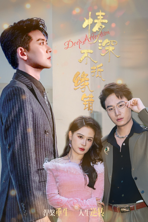 情深不抵缘错（60集）怎么看全集