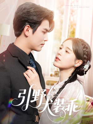 引野犬装乖（61集）最近很火的短剧