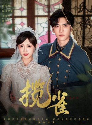 揽雀(61集) 揽雀(61集)免费全集短剧