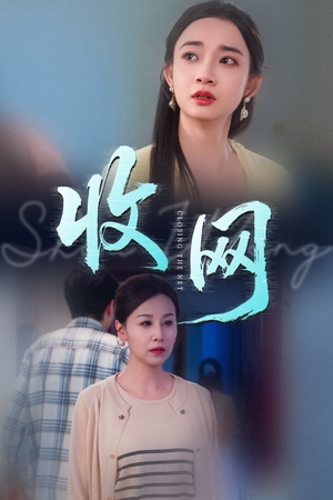 收网（60集）最新热门短剧