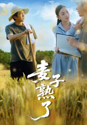 麦子熟了(52集) 麦子熟了(52集)精彩短剧热播中