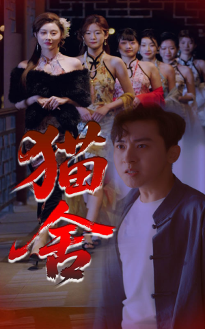 猫舍（34集）分享热门短剧