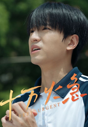 十万火急(30集) 十万火急(30集)短剧全集更精彩