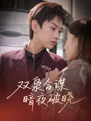 双枭合谋暗夜破晓(30集) 双枭合谋暗夜破晓(30集)高分推荐免费看