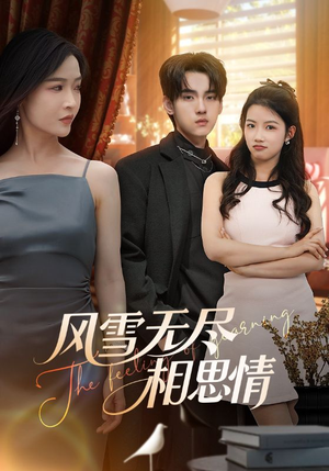 风雪无尽相思情（61集）经典回顾免费看