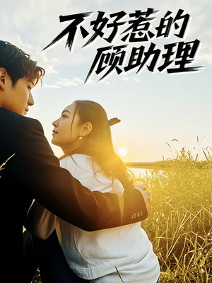 不好惹的顾助理(67集) 不好惹的顾助理(67集)怎么看全集