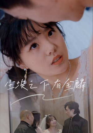 尘埃之下有金鳞（60集）好看的短剧电影